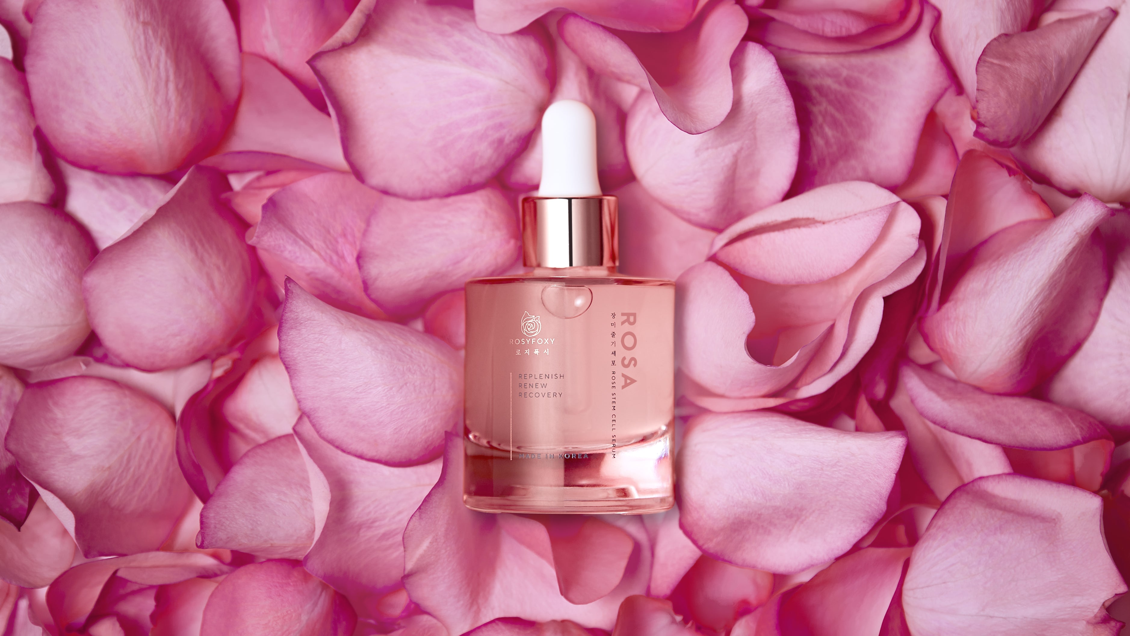 Rosy Foxy ROSA rose stem cell serum dropper bottle placed in the center of a dense bed of fresh pink rose petals.