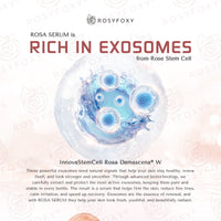 ROSA Rose Stem Cell Serum