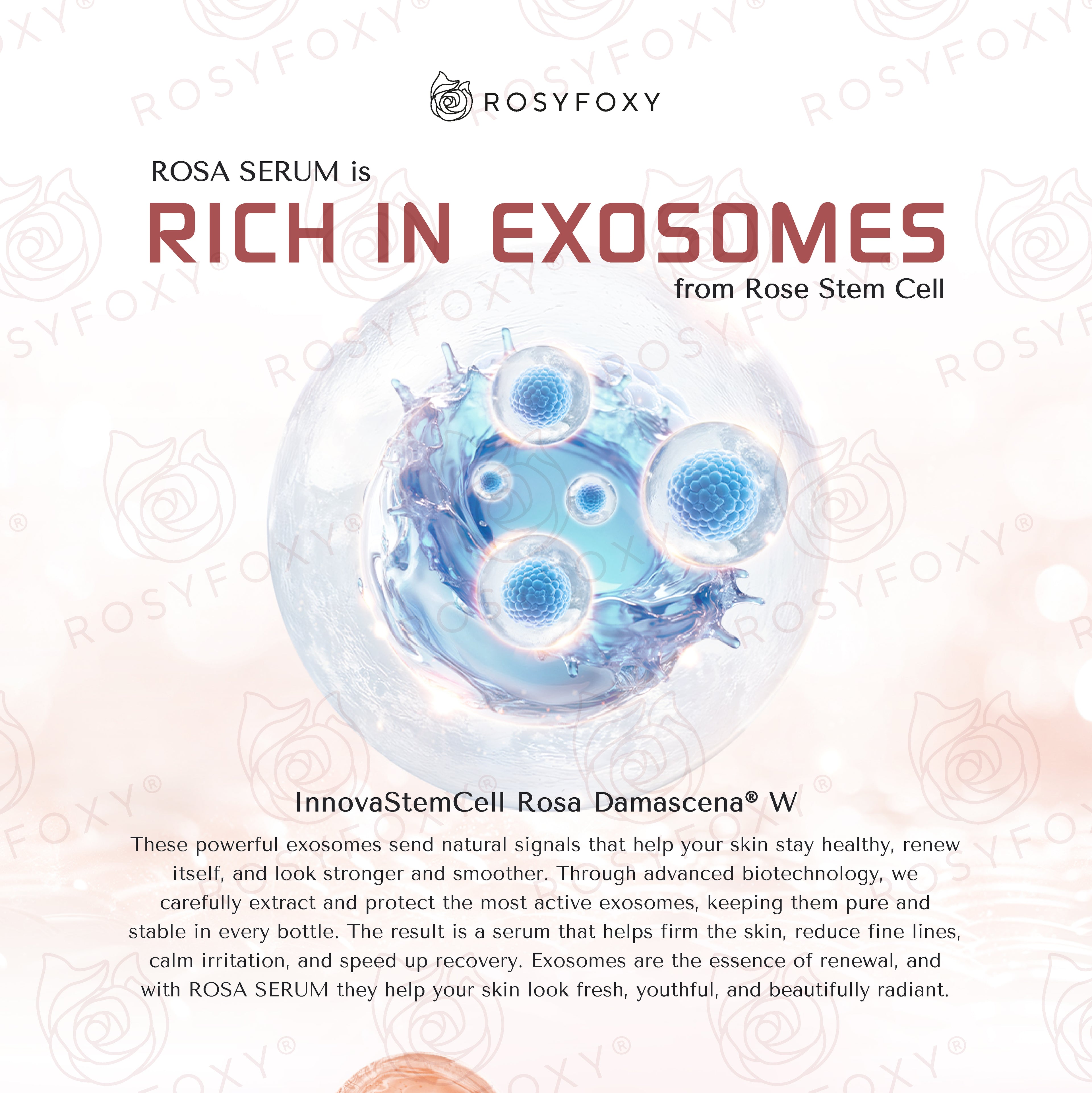 ROSA Rose Stem Cell Serum