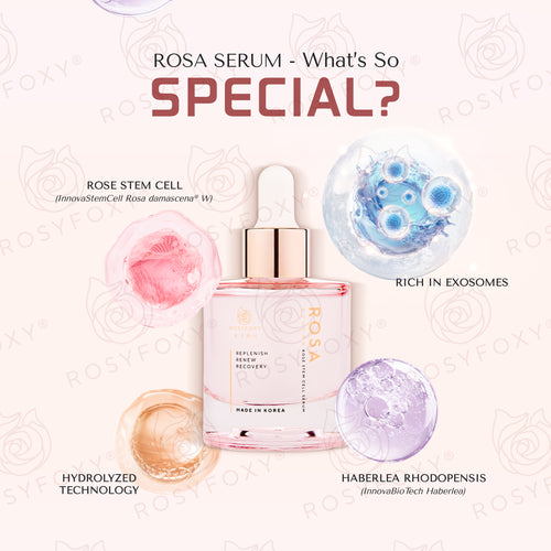 ROSA Rose Stem Cell Serum