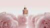 Rosy Foxy ROSA rose stem cell serum bottle floating and rotating amidst a premium bed of soft pink roses.
