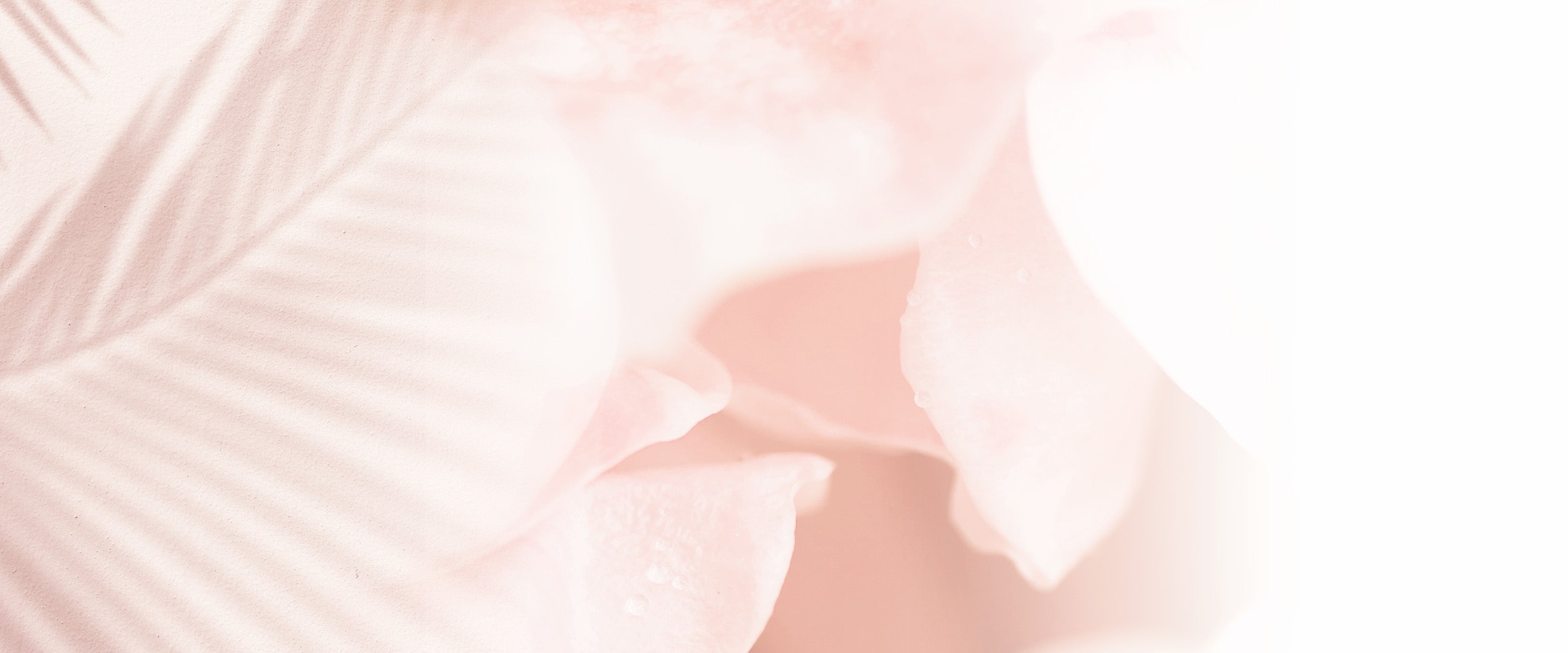 Soft pink aesthetic floral background with palm leaf shadows for Rosy Foxy website footer.